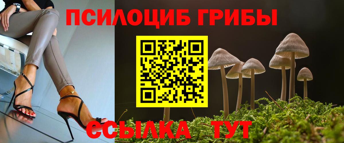 Выборг  наркошоп  Вход с VPN  Галлюциногенные грибы Psilocybe 